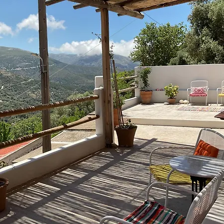 Lemon House 1